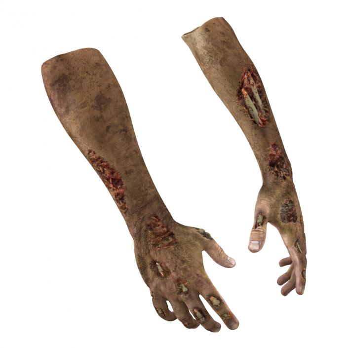 Zombie Hands Pose 2 3D model