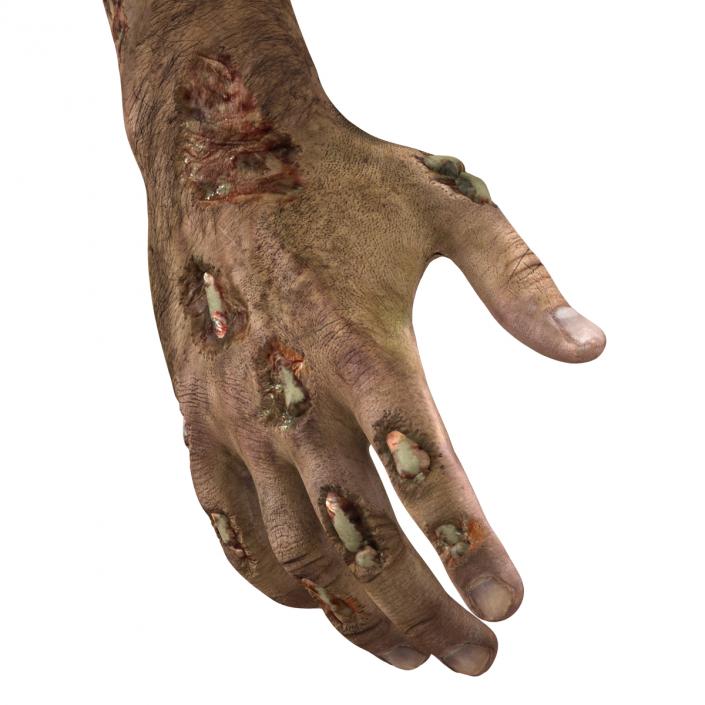 Zombie Hands Pose 2 3D model