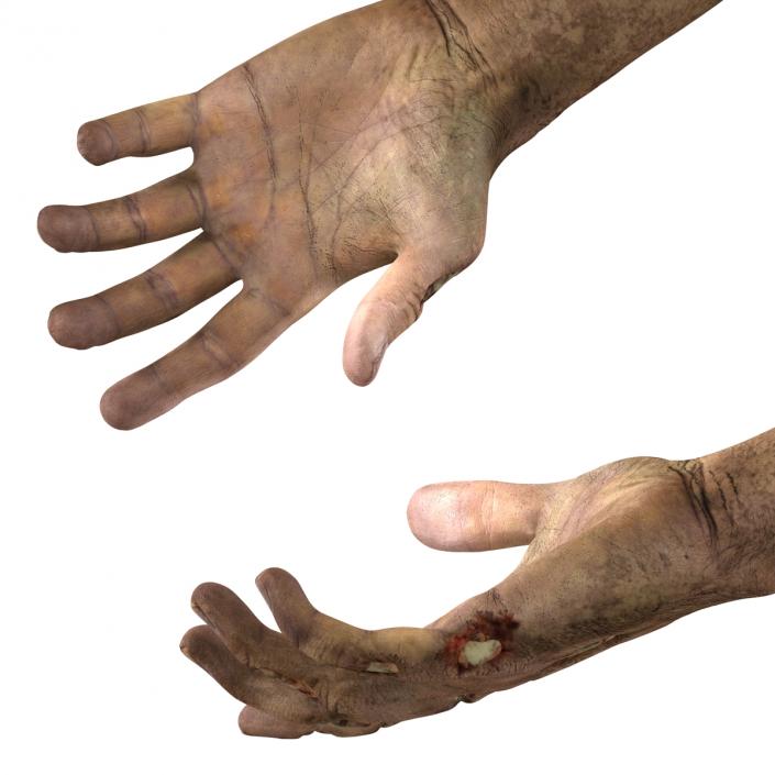 Zombie Hands Pose 2 3D model