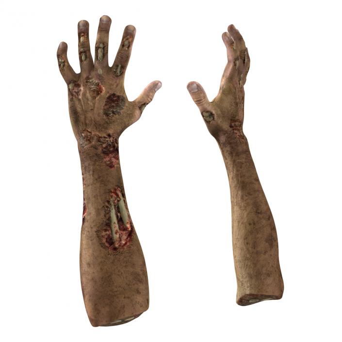 Zombie Hands Pose 3 3D model