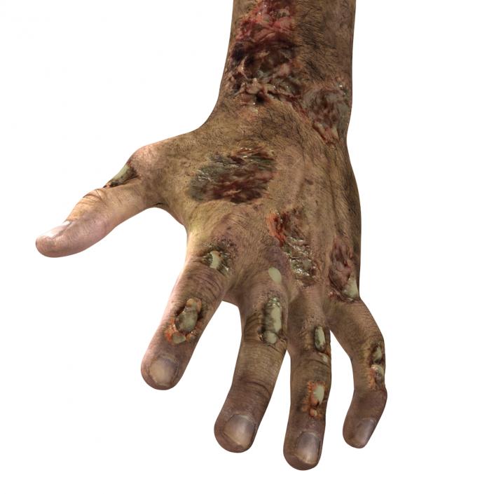 Zombie Hands Pose 3 3D model