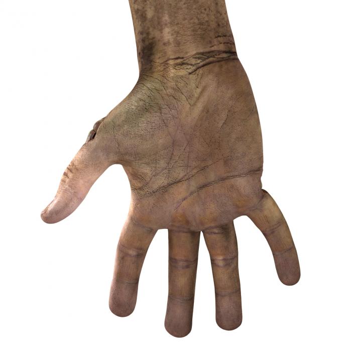 Zombie Hands Pose 3 3D model