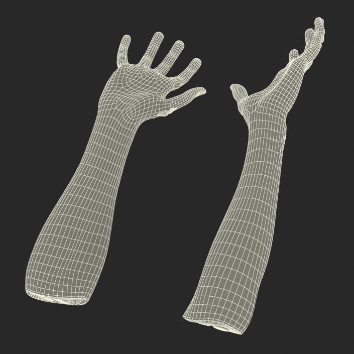 Zombie Hands Pose 3 3D model