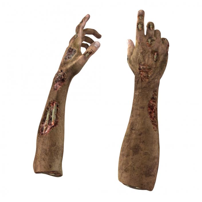 Zombie Hands Pose 4 3D model