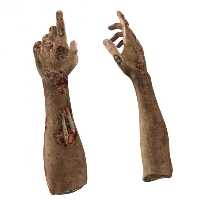 Zombie Hands Pose 4 3D model