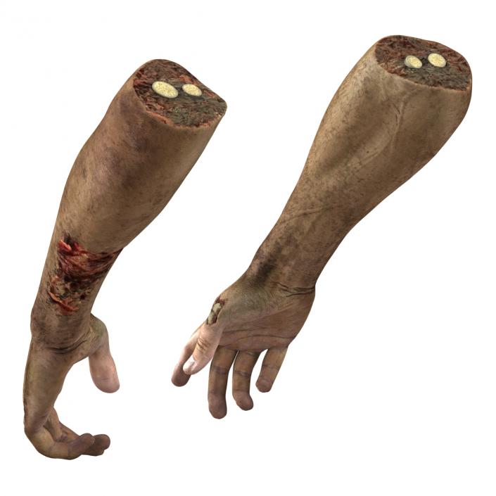 Zombie Hands Pose 4 3D model