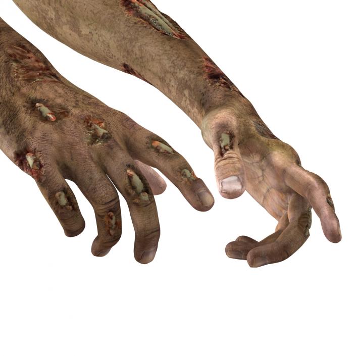 Zombie Hands Pose 4 3D model