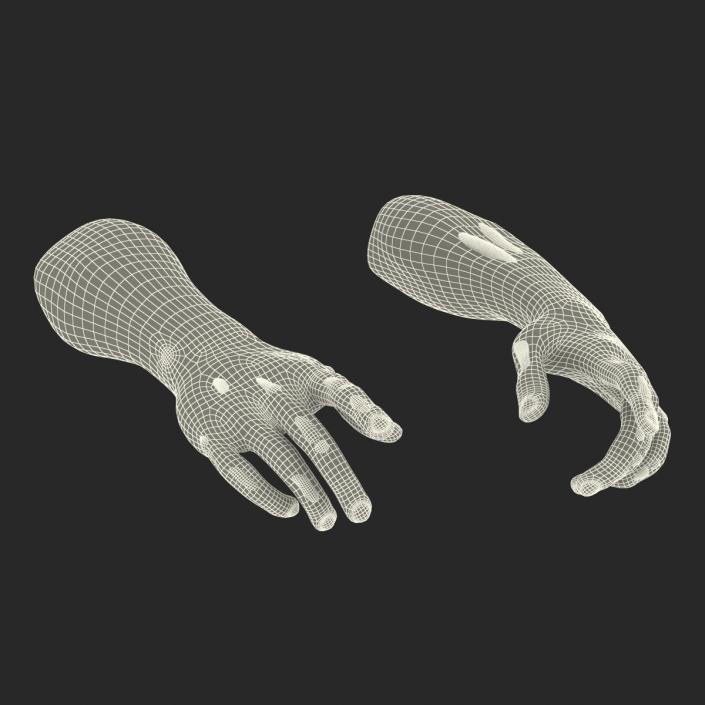 Zombie Hands Pose 4 3D model