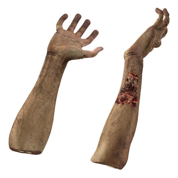 Zombie Hands Pose 5 3D model