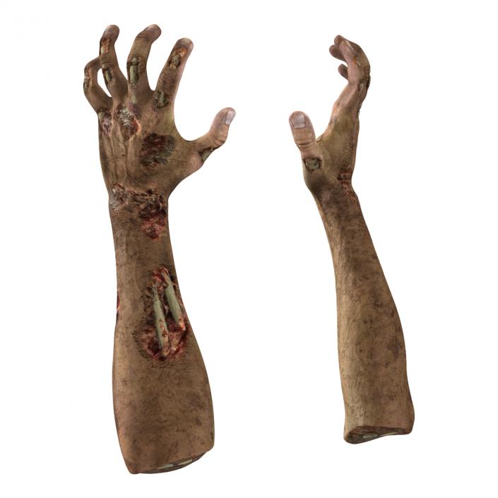 Zombie Hands Pose 5 3D model