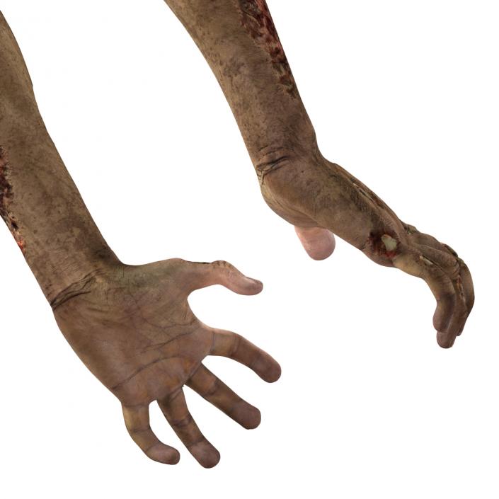 Zombie Hands Pose 5 3D model