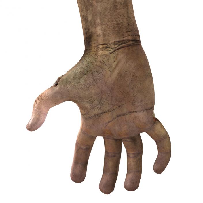 Zombie Hands Pose 5 3D model