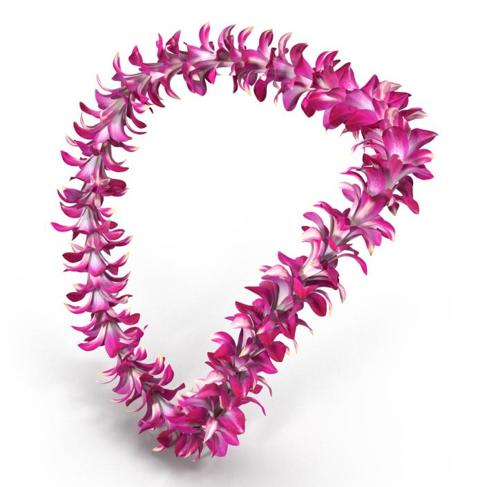 Hawaiian Lei 2 3D model