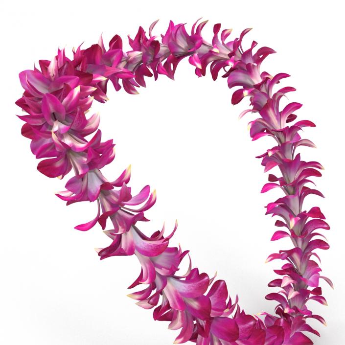 Hawaiian Lei 2 3D model