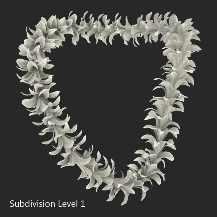 Hawaiian Lei 2 3D model