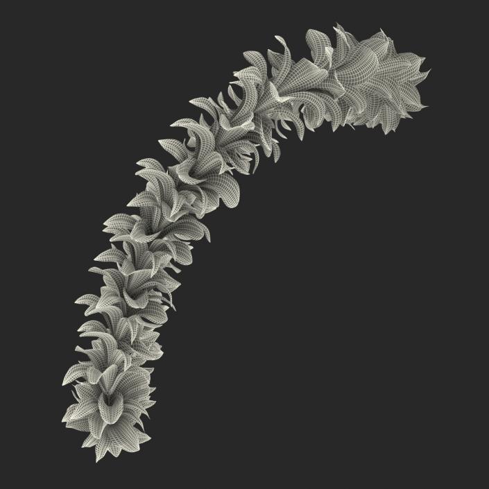 Hawaiian Lei 2 3D model