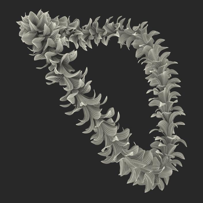 Hawaiian Lei 2 3D model