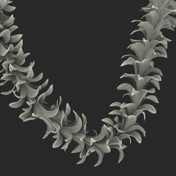 Hawaiian Lei 2 3D model