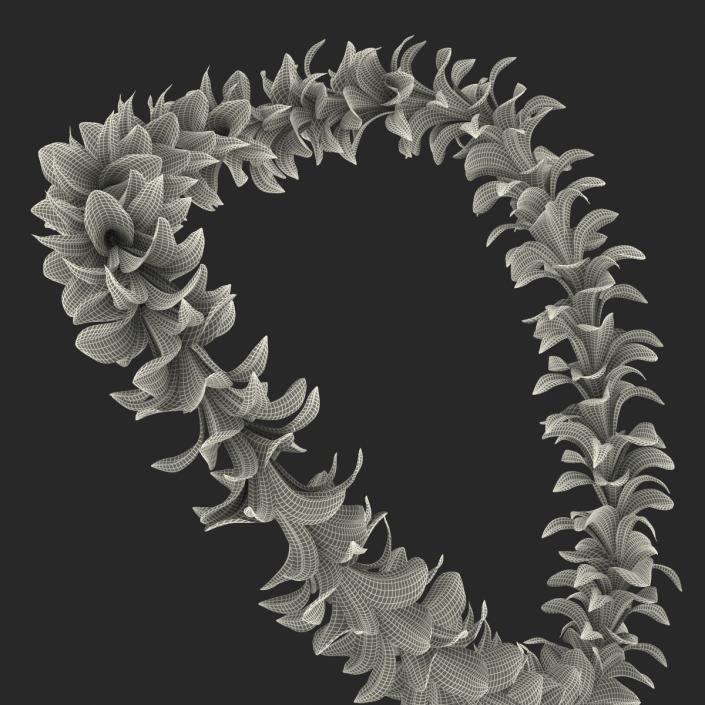 Hawaiian Lei 2 3D model