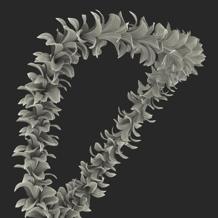 Hawaiian Lei 2 3D model