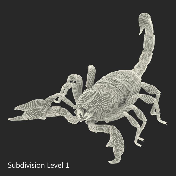 3D model Black Scorpion Rigged with Fur