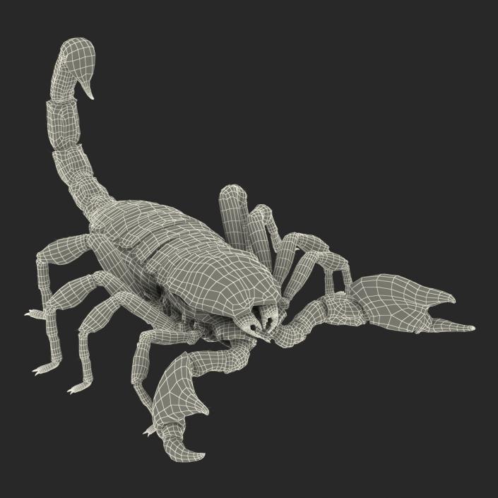 3D model Black Scorpion Rigged with Fur