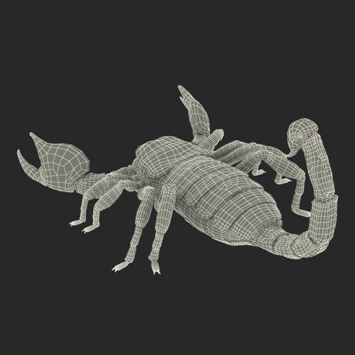 3D model Black Scorpion Rigged with Fur