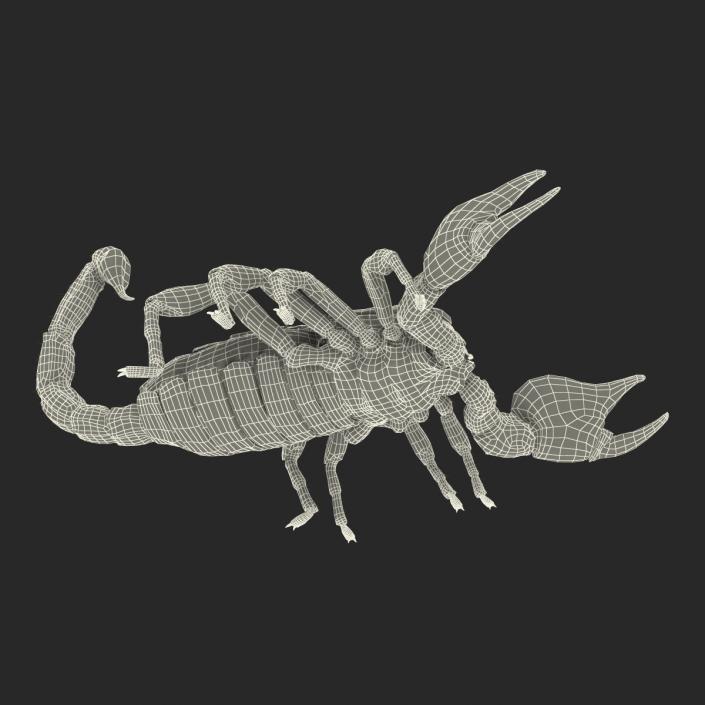 3D model Black Scorpion Rigged with Fur