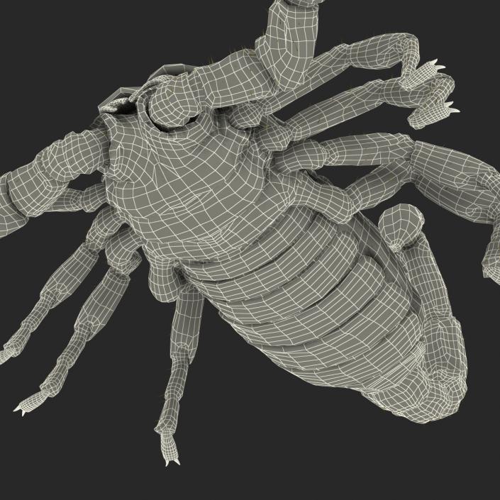 3D model Black Scorpion Rigged with Fur