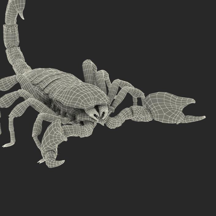 3D model Black Scorpion Rigged with Fur