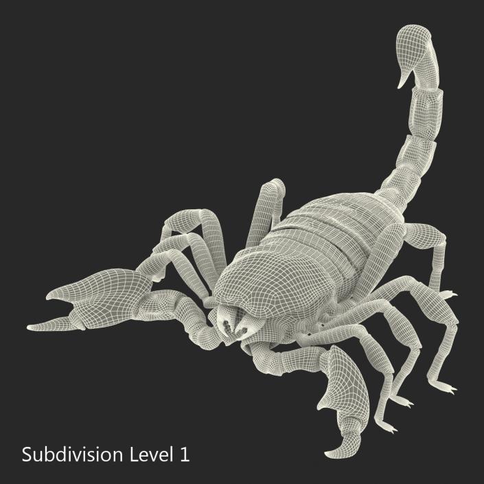 3D Black Scorpion Rigged