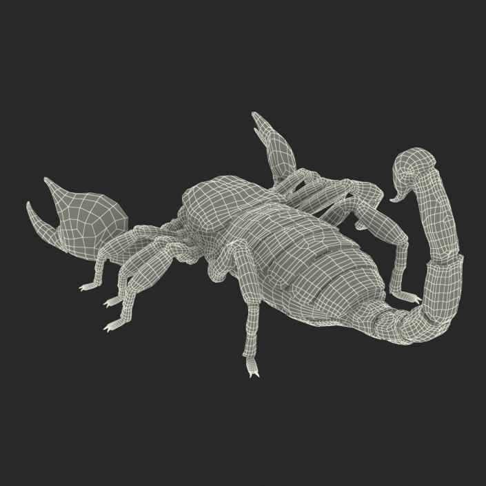 3D Black Scorpion Rigged