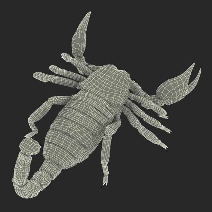 3D Black Scorpion Rigged