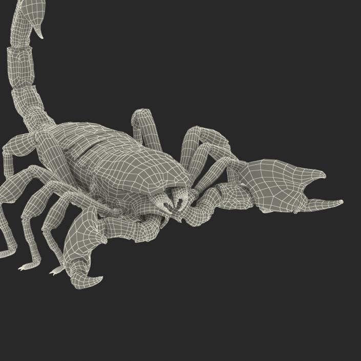 3D Black Scorpion Rigged