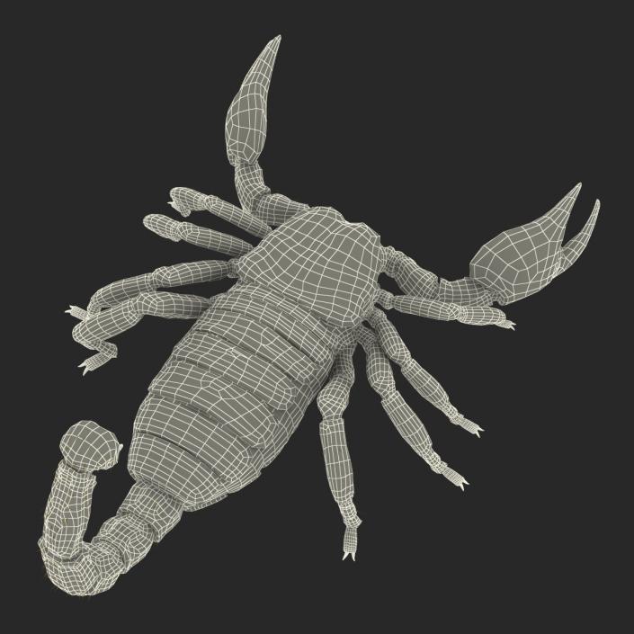 Scorpion Rigged with Fur 3D model