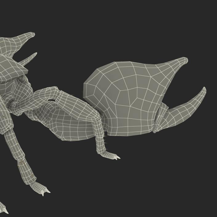 Scorpion Rigged with Fur 3D model