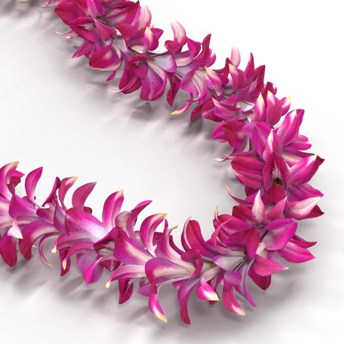 Hawaiian Lei 3 3D model