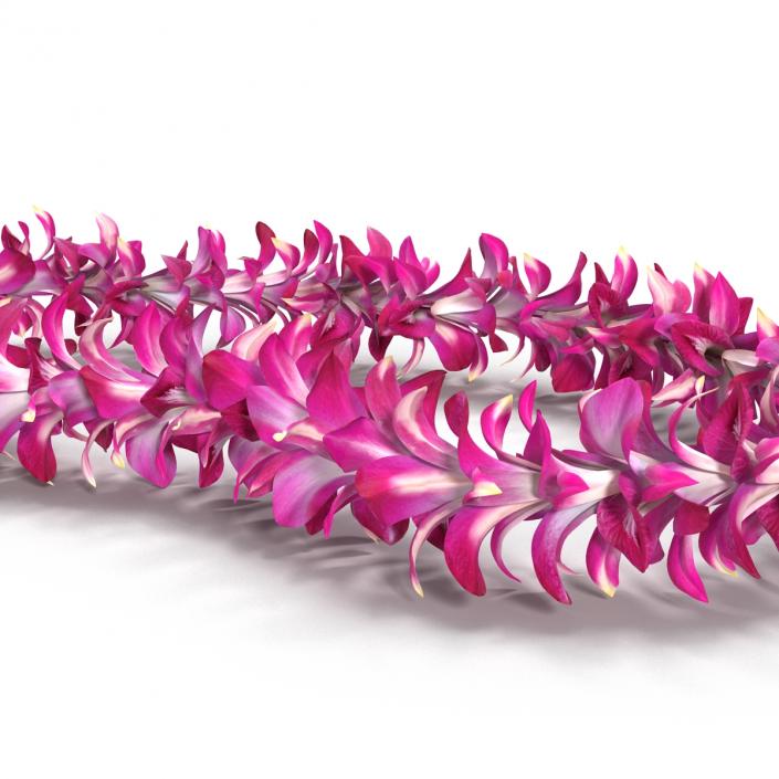 Hawaiian Lei 3 3D model