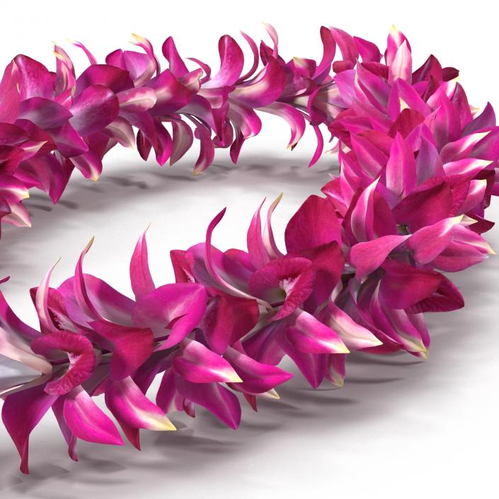 Hawaiian Lei 3 3D model