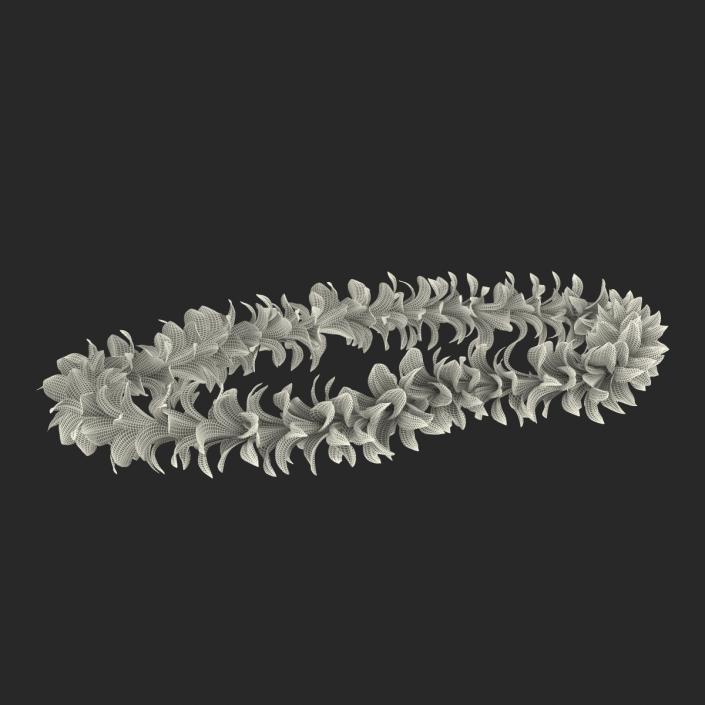 Hawaiian Lei 3 3D model