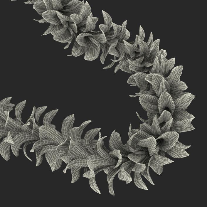 Hawaiian Lei 3 3D model