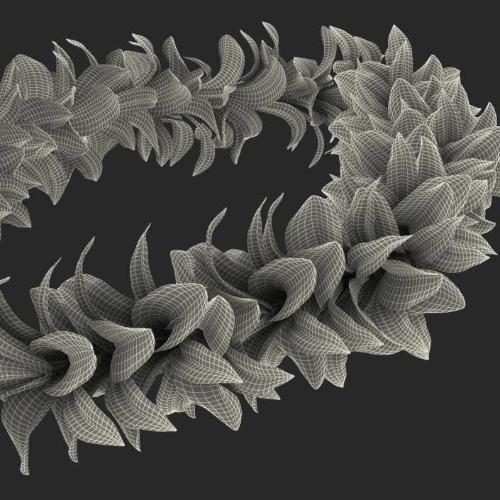 Hawaiian Lei 3 3D model