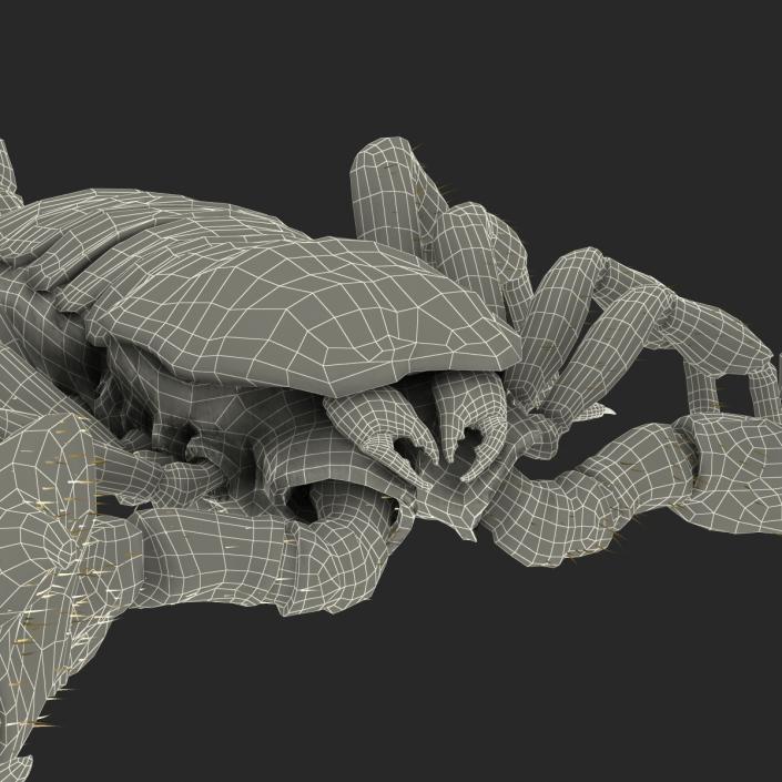 3D model Scorpion Rigged