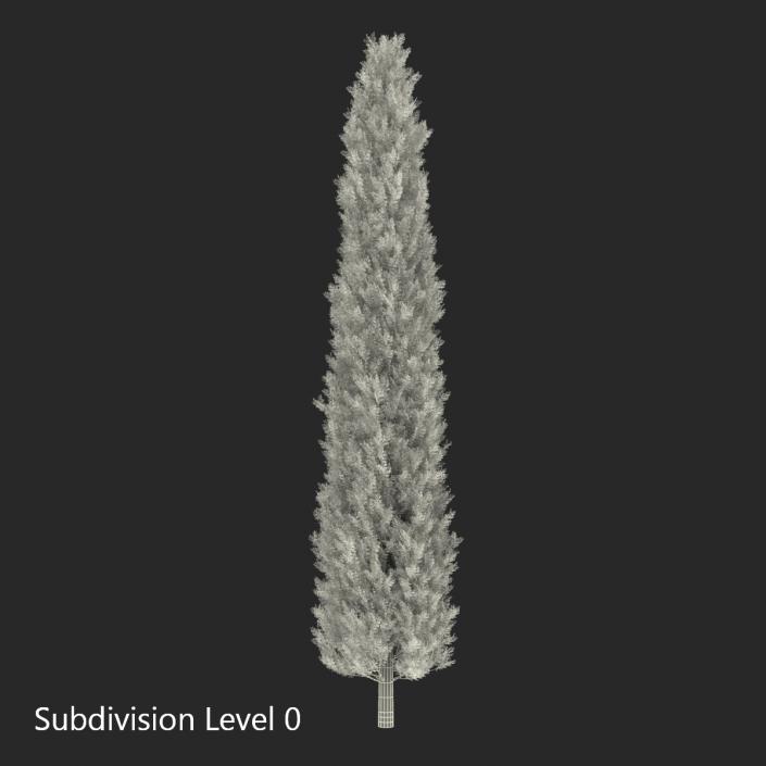 Cypress Tree 2 3D model