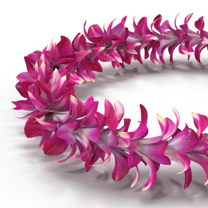 Hawaiian Lei 4 3D model