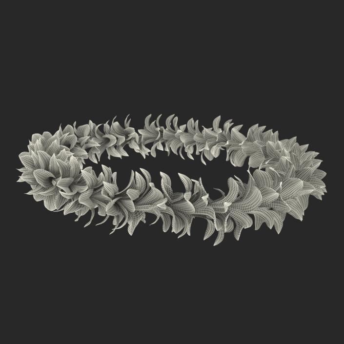 Hawaiian Lei 4 3D model