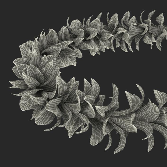 Hawaiian Lei 4 3D model