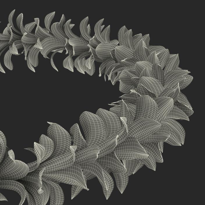 Hawaiian Lei 4 3D model