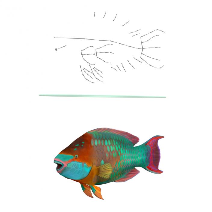 3D Rainbow Parrot Fish Rigged