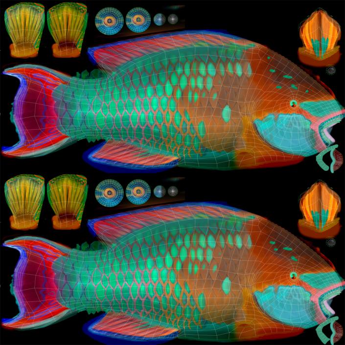 3D Rainbow Parrot Fish Rigged